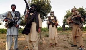 Taliban leaders, Al-Qaeda members among 43 killed in latest operations: MoD