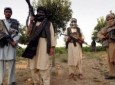 Taliban leaders, Al-Qaeda members among 43 killed in latest operations: MoD