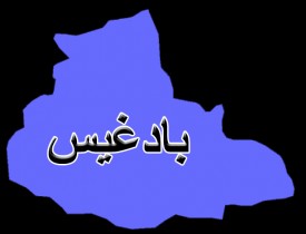 والی نام نهاد طالبان برای بادغیس به شدت زخمی شده است