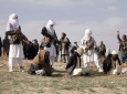 هلاکت دو ولسوال نام نهاد دیگر طالبان در ولسوالی ادرسکن هرات