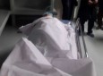 افراد مسلح ناشناس در بلخ  یک معلم زن را هنگام رفتن به مکتب تیرباران کردند