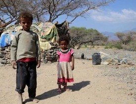 قحطی، هفت میلیون یمنی را تهدید می‌کند
