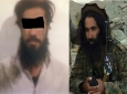 بازداشت یک عامل انتحاری با یک فرد مشکوک توسط پولیس کابل