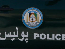 یک گروه ده نفره سارقین در هرات بازداشت شدند
