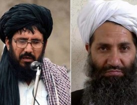 Taliban claims 44 killed, wounded in suicide attack on Mullah Rasool militants