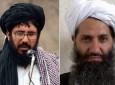 طالب کُشی طالبان در هلمند