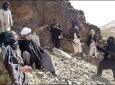 طالبان در شاهراه دایکندی- کابل، موفق‌تر از نیروی‌های امنیتی است/حکومت نسبت به دایکندی کم‌توجه است