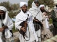 حمله تهاجمی طالبان به شش ولسوالی در فاریاب