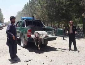 کشته شدن 839 تن در ماه گذشته میلادی در افغانستان