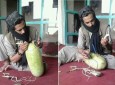 تربوزهای بمب‌گذاری شده؛ ابتکار طالبان برای کشتار