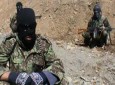 گروه تروریستی داعش می خواهند نصاب درسی‌شان را در ولسوالی درزاب تطبیق کنند