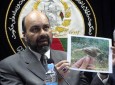 تأکید افغانستان بر بهبود همکاری ها برای حل مشکلات زیست محیطی در منطقه