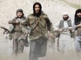 سقوط دو ولسوالی استراتژیک در شمال و غرب توسط طالبان