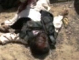 کشته وزخمی  شدن ۲۸ تروریست طالب در ولایت پکتیا