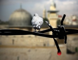 فلسطین قلب مجروح امت اسلامی