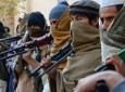 طالبان، یک راننده موتر انتقال دهنده معلمین را در فاریاب تیرباران کرد