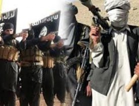درگیری میان داعش و طالبان در جوزجان 5 کشته و زخمی برجای گذاشت