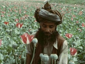 طالبان فابریکه های بزرگ پروسس مواد مخدر ایجاد کرده است