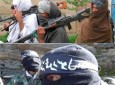 طالبانو ننګرهار کې داعش قومندانان وژلي
