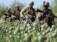 رسانه روسی: آمریکا میلیاردها دالر از قاچاق مواد مخدر افغانستان سود می برد