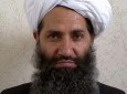 طالبان به دنبال رفتار تبعیض آمیز، انحصار قدرت و انتقام گیری نیست!
