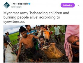 سر کودکان روهینگیایی را بریده و مردان را زنده سوازنیده اند!
