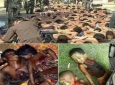 واکنش شهروندان هرات به کشتار مسلمانان در میانمار / مدعیان دفاع از حقوق بشر کجایند؟