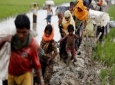 ۲۷۰ هزار مسلمان روهینگیایی به بنگلادش پناه بردند / مالزی آماده پذیرش مسلمانان روهینگیا است