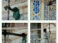 انتقاد تند فرهنگیان هرات به نصب داربست در مسجد جامع این شهر