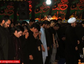 نماز ظهر عاشورا در هرات اقامه شد
