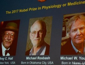 جایزۀ نوبل بهترین داکتران جهان به سه امریکایی اعطا شد