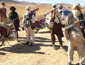 طالبان یک بزرگ قومی پکتیا را در غزنی به قتل رساند