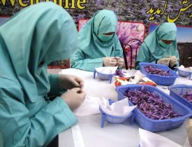 Herat: Saffron price goes 90pc up in recent years