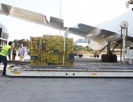 900 Tons Of Fresh Fruit Air Freighted To India: ACCI