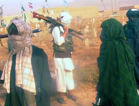 تلفات طالبان در شیندند