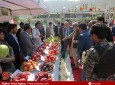گزارش تصویری/ افتتاح نوزدهمین نمایشگاه زراعتی در کابل  