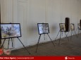 گزارش تصویری / نمایشگاه دوستی افغانستان - کوریای جنوبی  