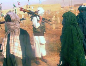 په شیندند کی د طالبانو تلفات