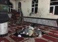 آخرین آمار وزارت داخله از حمله انتحاری به مسجد امام زمان و ولایت غور
