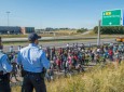 مأموران امنیتی آلمان مهاجران را وادار به کار در مراکز فحشاء می کنند