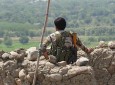 Nine Police, 12 Taliban Killed in Ghazni Clashes