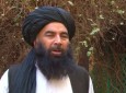 Afghan Delegation Set To ‘Talk Peace’ with Taliban in Dubai Next Week