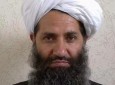Targeting Taliban leaders by US to kill chances for peace: Pak officials