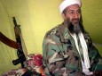 اسناد جدید شبکه تروریستی القاعده و بن لادن منتشر شد