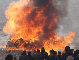 چرا پردرآمدترین محصول افغانستان طعمه آتش می‌شود؟