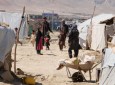 یک نفر از چهار افغانستانی برای یک بار "طعم مهاجرت" را چشیده است