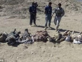 کشته و زخمی شدن یکصد طالب در ولایت هرات