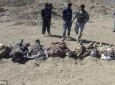 کشته و زخمی شدن یکصد طالب در ولایت هرات