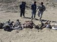 کشته و زخمی شدن بیش از یک هزار مخالف مسلح دولت در شمال کشور