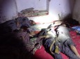 کشته شدن ۲۱ عضو مهم شبکه حقانی در ولایت میدان وردک